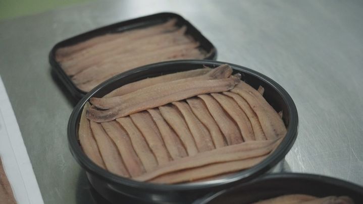 Anchoas del cantábrico en 'Mariván' / Telemadrid