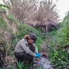 Denunciado el dueño de una granja de cerdos en Tielmes por vertido ilegal