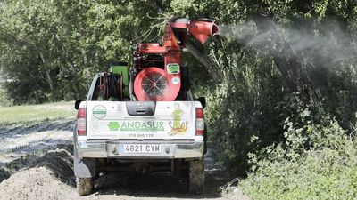 Getafe vuelve a reclamar a la capital coordinación para combatir la mosca negra