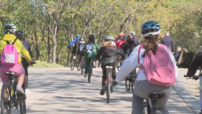 Casa de Campo y Madrid Río, un aula a cielo abierto