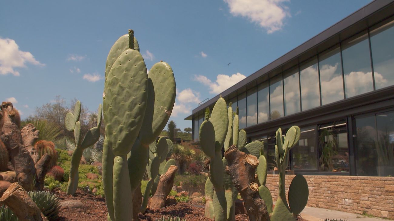 La Otra Agenda 20.04.2024