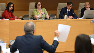 Illa dice que solo vio una vez a Koldo y que es falso que Sanidad comprara a la trama