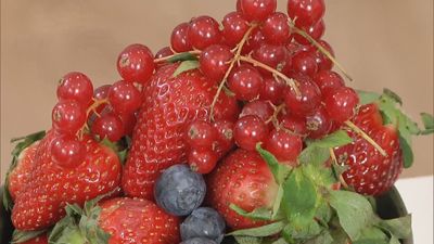 ¿Qué alimentos debemos consumir en primavera?