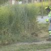 Alcorcón adelanta la campaña de desbroce con el objetivo de prevenir incendios