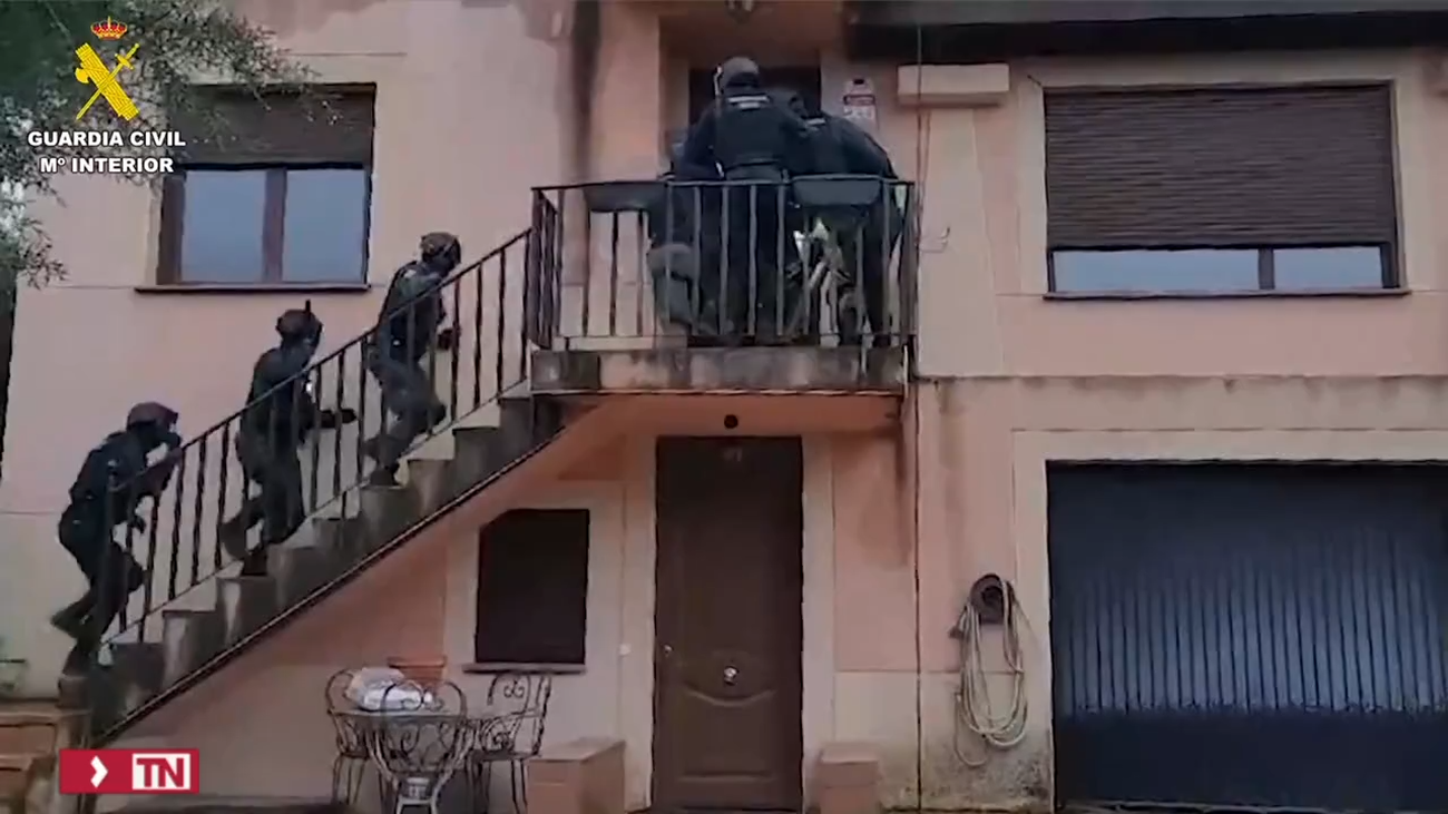 Incautadas 575 plantas de marihuana, más de  20 kilos de cogollos y 18 de marihuana picada en Cabanillas de la Sierra