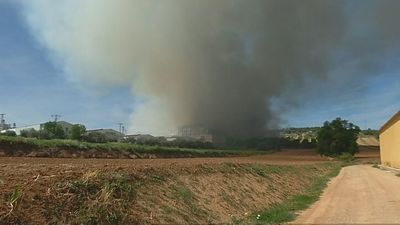 Unas 600.000 gallinas mueren en el incendio de una granja avícola de Cuenca