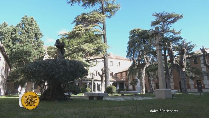 Jardines de la universidad / Telemadrid