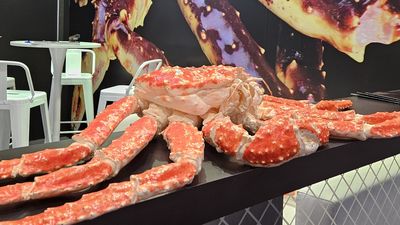 El Enfoque de Ida y Vuelta 51 -  Mundo Gourmet