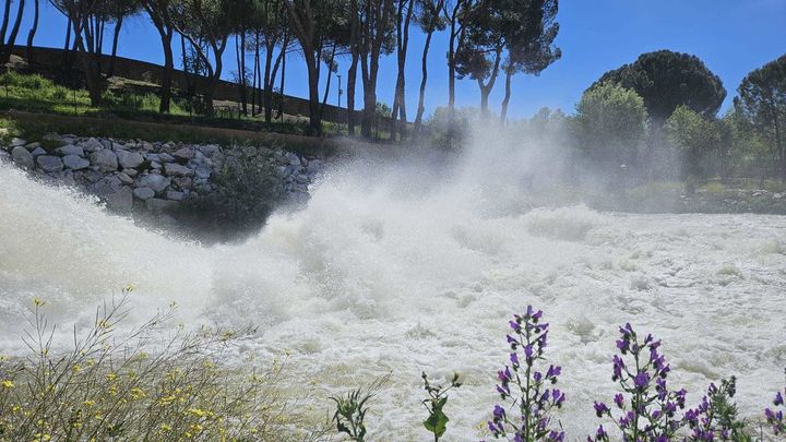 Desembalse de la Presa de El Pardo / CHT