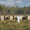 ¿Por qué son tan importantes las abejas para la salud del planeta?