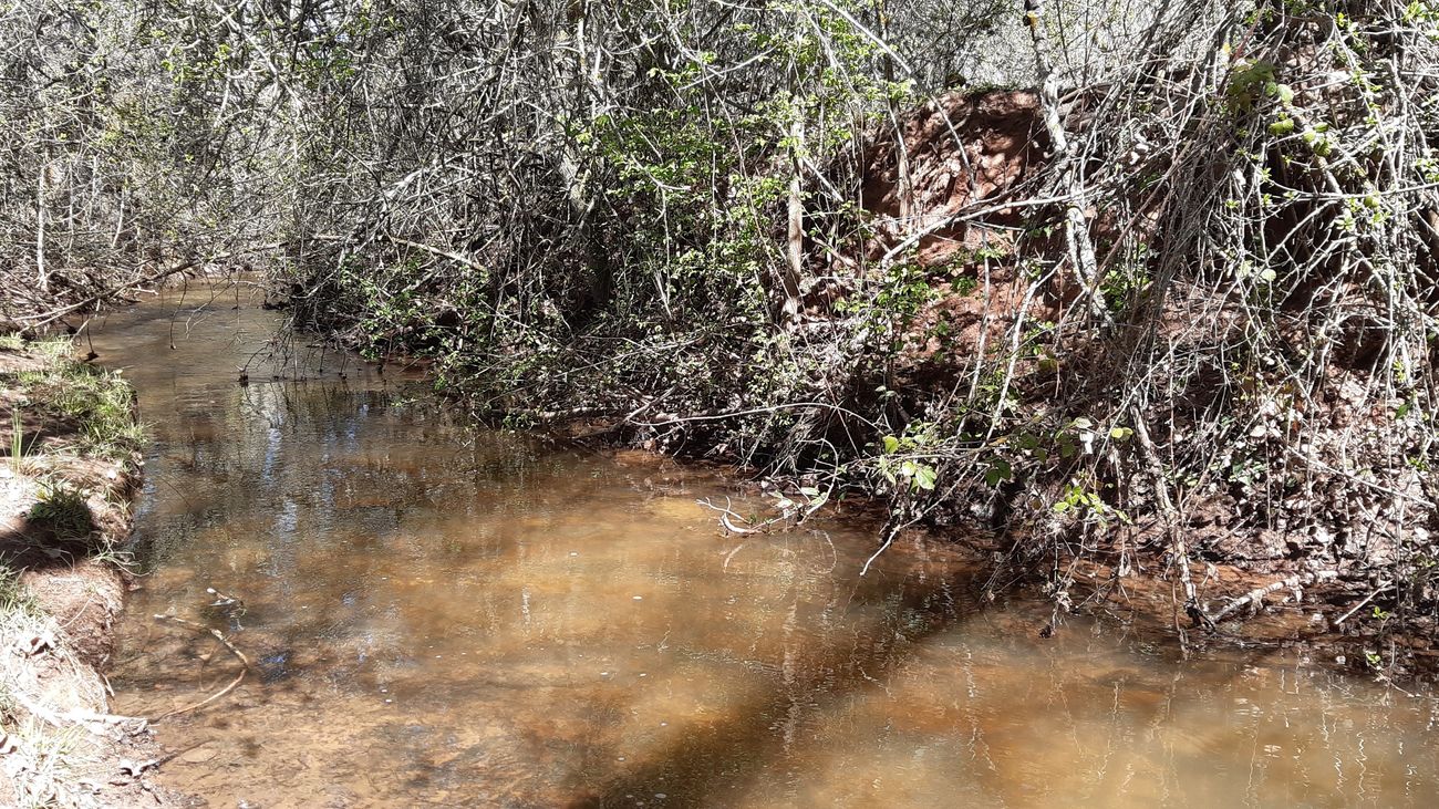 El Río Manzanares a su paso por Tiermes