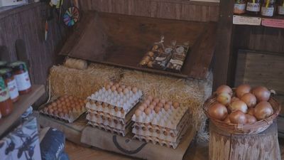 ¿Sabes por qué existen huevos de varios tamaños?