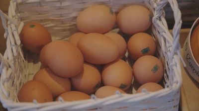 Se dispara el contrabando de huevos de Canadá a EEUU por su alto precio