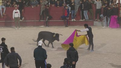 Encierros nocturnos en las fiestas patronales de San Martín de la Vega