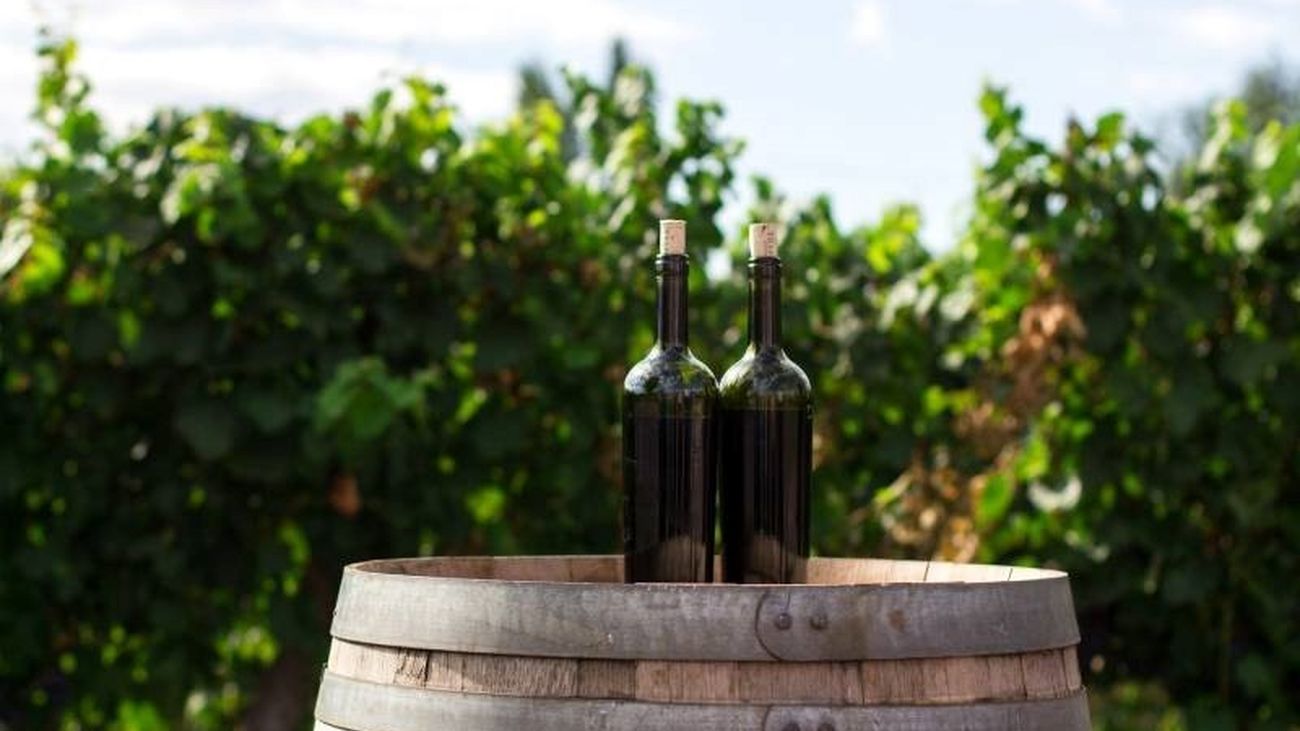 Botellas de vino sobre un tonel en medio de un viñedo