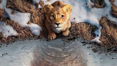 Disney lanza el tráiler del rey 'Mufasa: El Rey León" con música de Lin-Manuel Miranda y las voces de Beyoncé y su hija