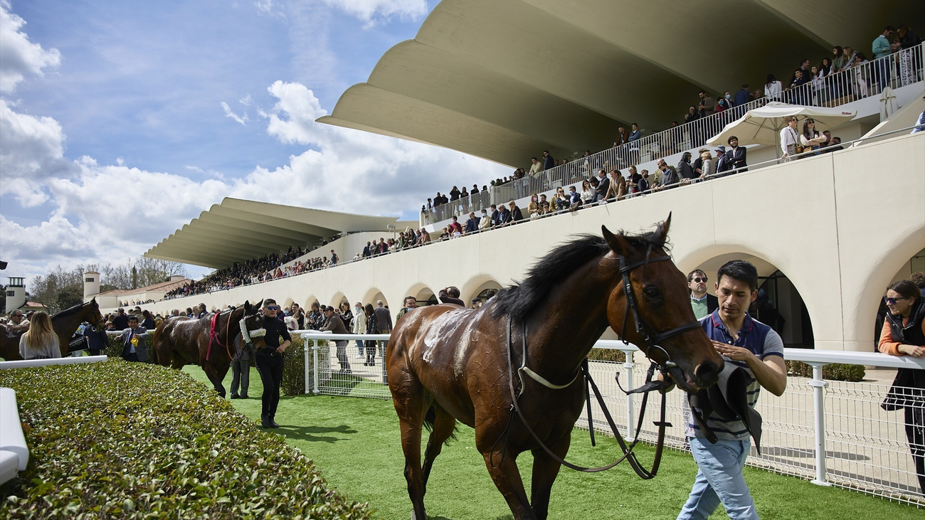 El Hipódromo de la Zarzuela celebra el 2 de Mayo con jornada de puertas abiertas