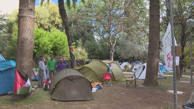 Las acampadas universitarias en apoyo a Palestina llegan a España