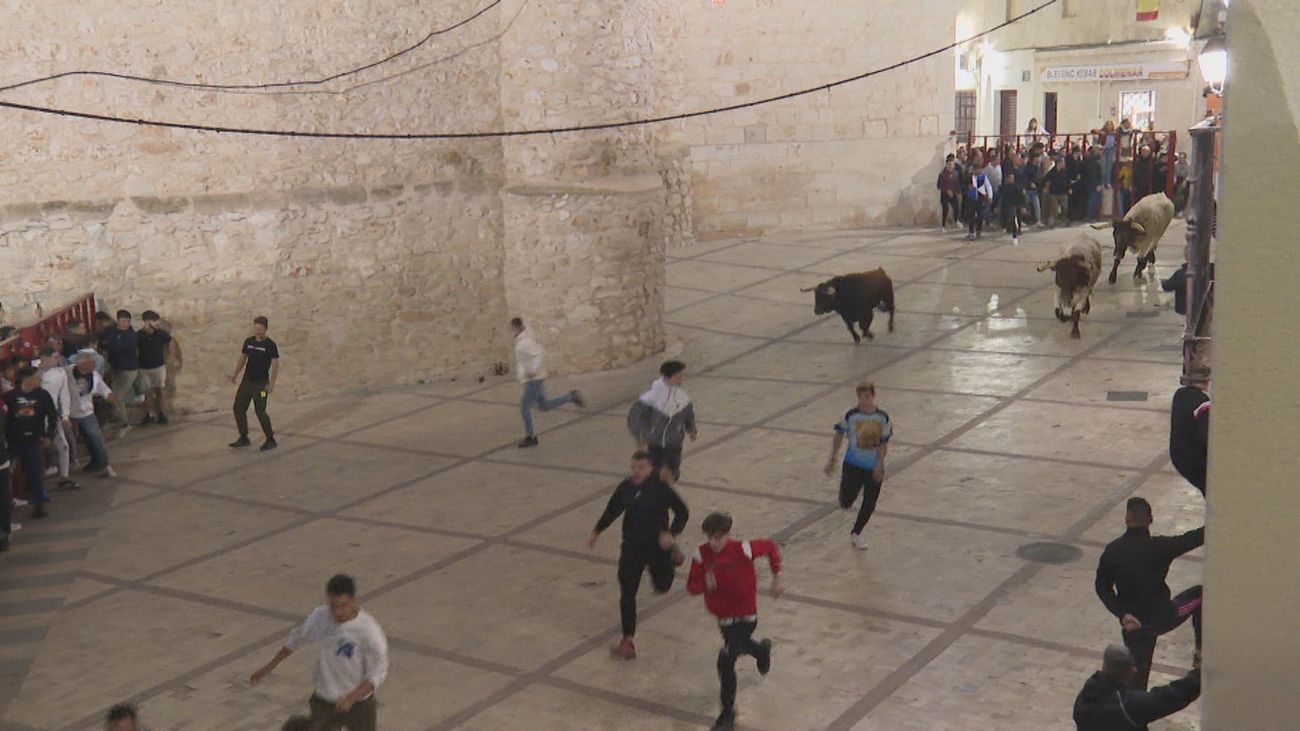 Colmenar de Oreja celebra sus fiestas con encierros nocturnos
