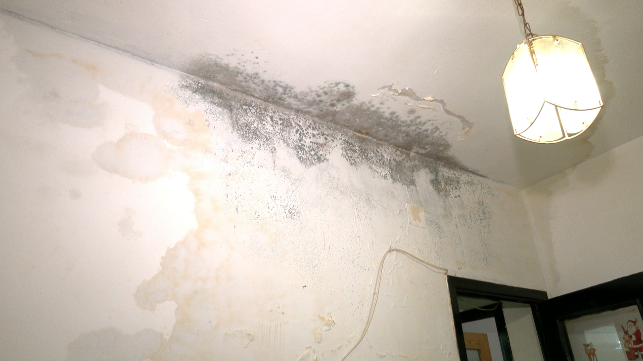 El tormento de vivir rodeados de goteras y moho en Malasaña