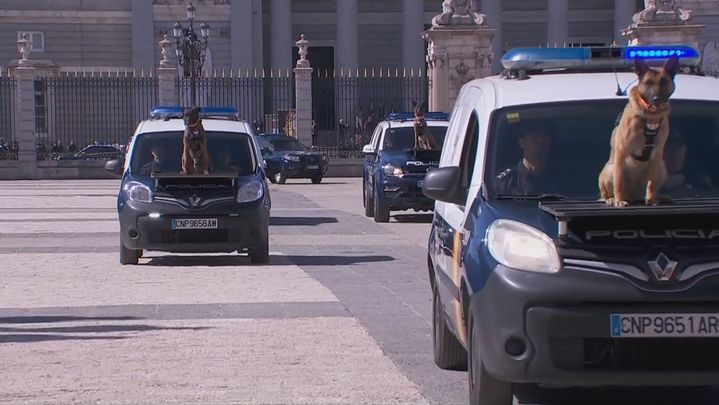 Perros policía en el desfile por el Bicentenario de la Policía Nacional / TELEMADRID