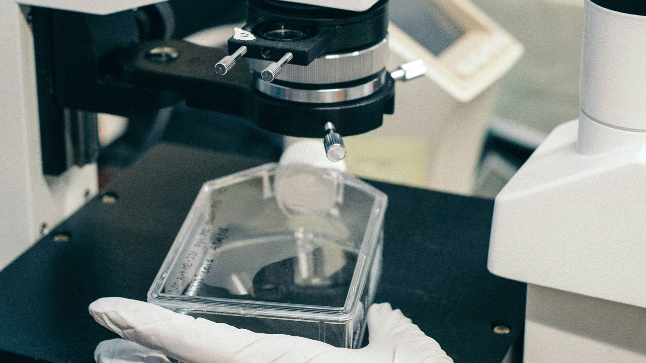 Científicos estudian la estructura y funcionamiento de las células con la ayuda de la IA