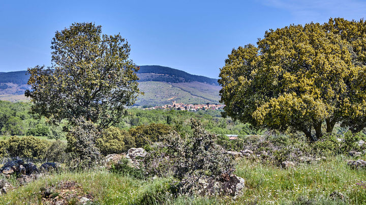 Paisaje de la Sierra Norte de Madrid / SIERRA NORTE