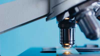 Los científicos se rebelan contra el pago de hasta 17.000 euros para la jubilación por los años de beca no cotizados