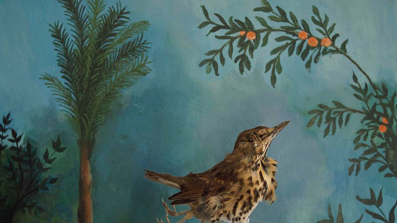 PHotoESPAÑA en diez propuestas