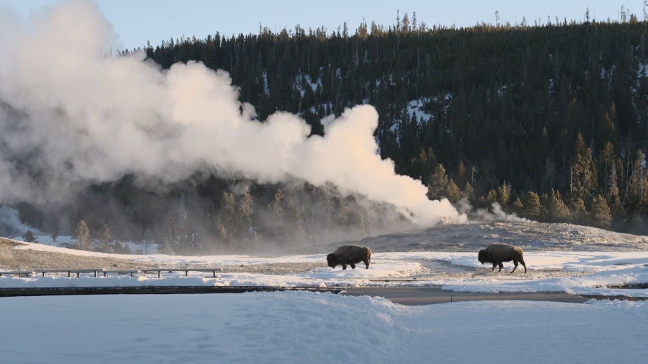 El Parque Nacional de Yellowstone y sus más de 300 géiseres