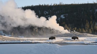 El Parque Nacional de Yellowstone y sus más de 300 géiseres