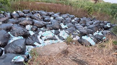 Vertido ilegal de mascarillas en Valdemoro