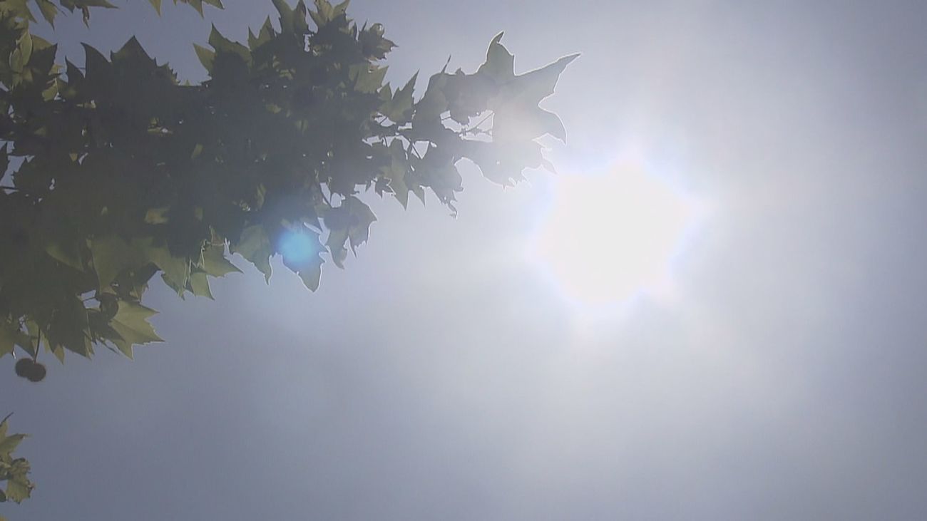 Madrid encara la primera ola de calor del verano, con temperaturas que llegarán a los 40 grados