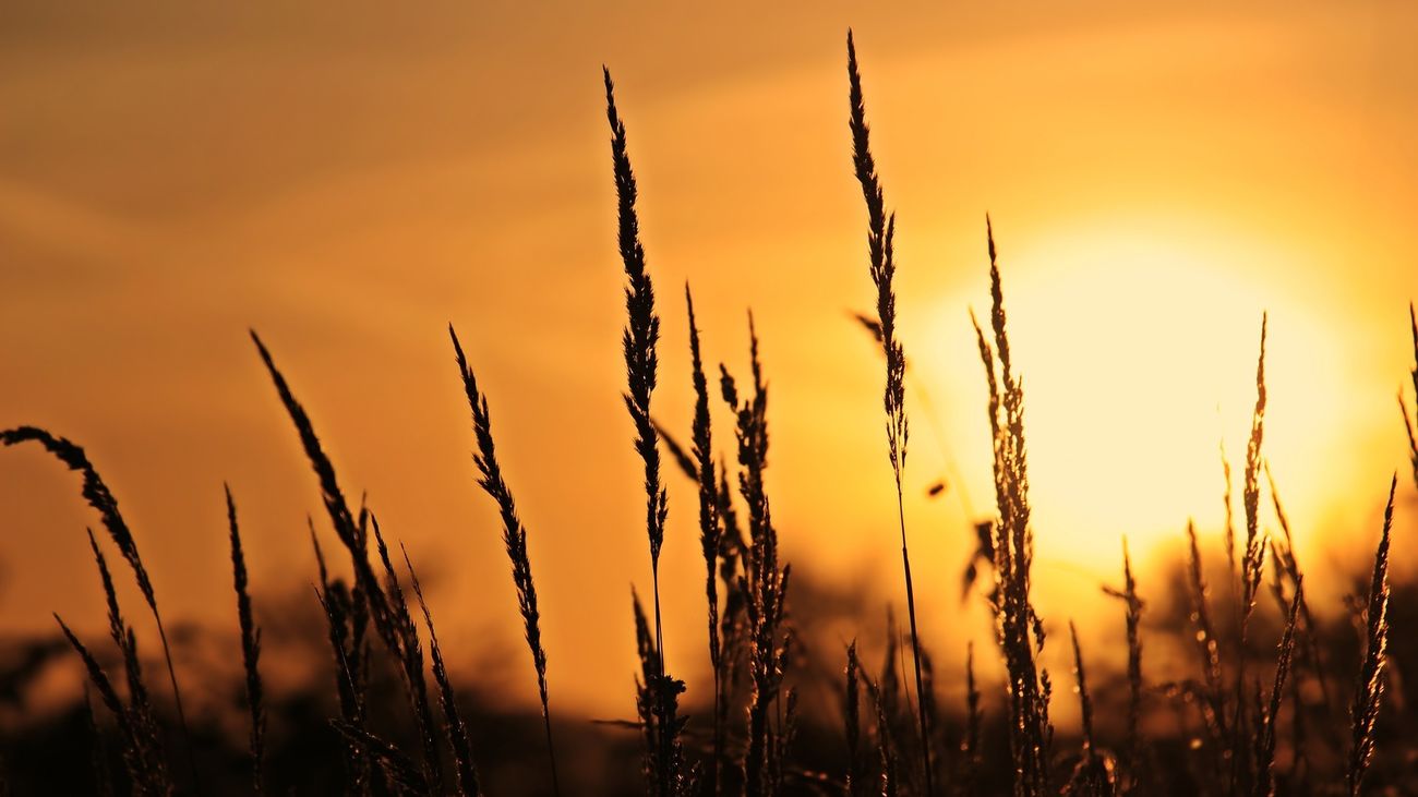 España es el país con más aumento de muertes por calor en Europa en este siglo