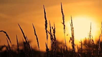 España es el país con más aumento de muertes por calor en Europa en este siglo