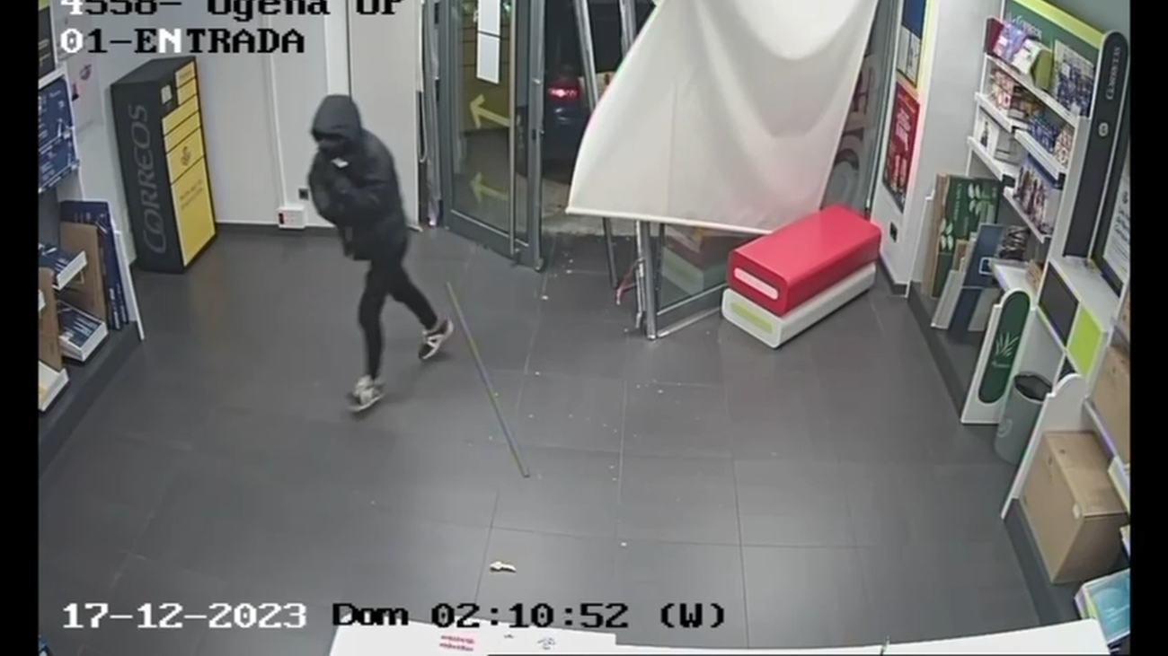 Detenidos cinco aluniceros que actuaban en Madrid y Toledo