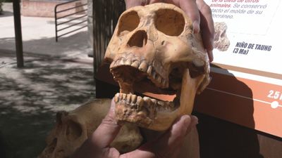 Llega la VI edición de la Feria Prehistórica de Pinto