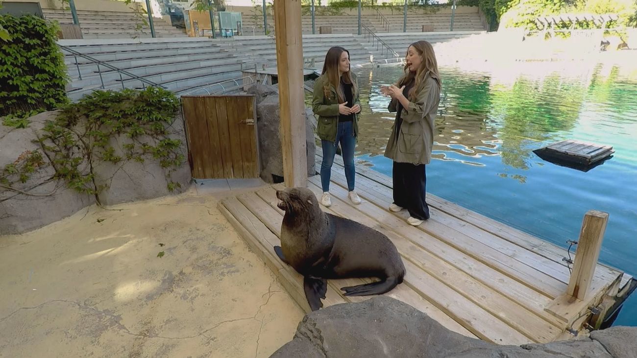 Madrid mejora tu vida 19.05.2024