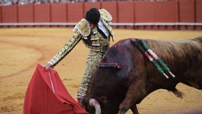 Telemadrid retransmite esta semana en directo tres corridas que aúnan a siete de las principales figuras de la feria