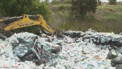 Valdemoro sigue retirando miles de mascarillas caducadas arrojadas al campo
