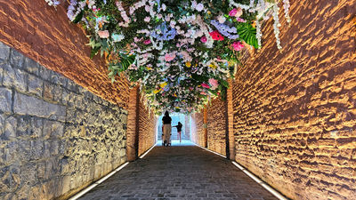 El Enfoque de Ida y Vuelta 52 - Subturismo, viaje a lo desconocido