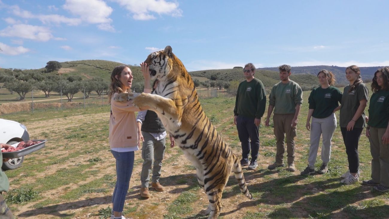 El único curso homologado de cuidador de animales salvajes está en Los Santos de la Humosa