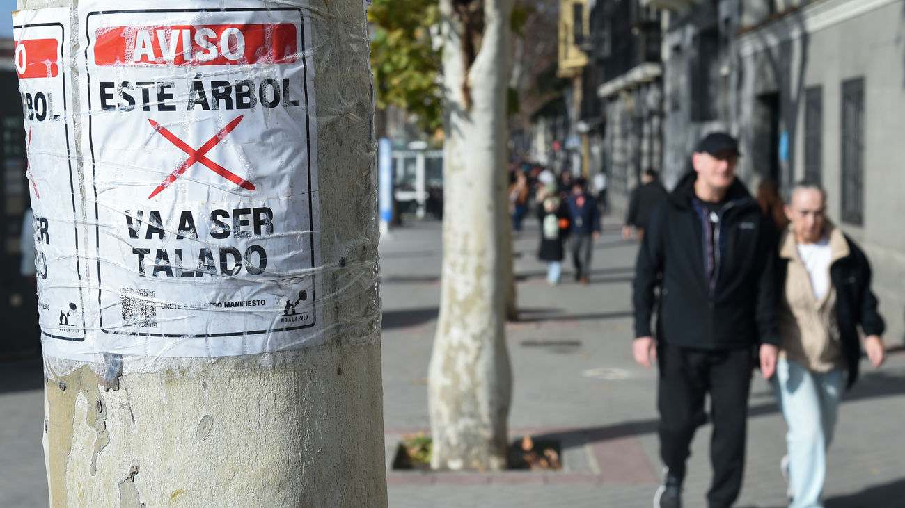 Protesta vecinal ante el comienzo en Atocha de las talas de arbolado por la ampliación de la línea 11 de Metro