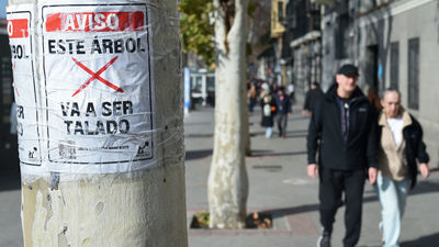 El Defensor del Pueblo ve justificada la tala de árboles por las obras de ampliación de la Línea 11 de Metro