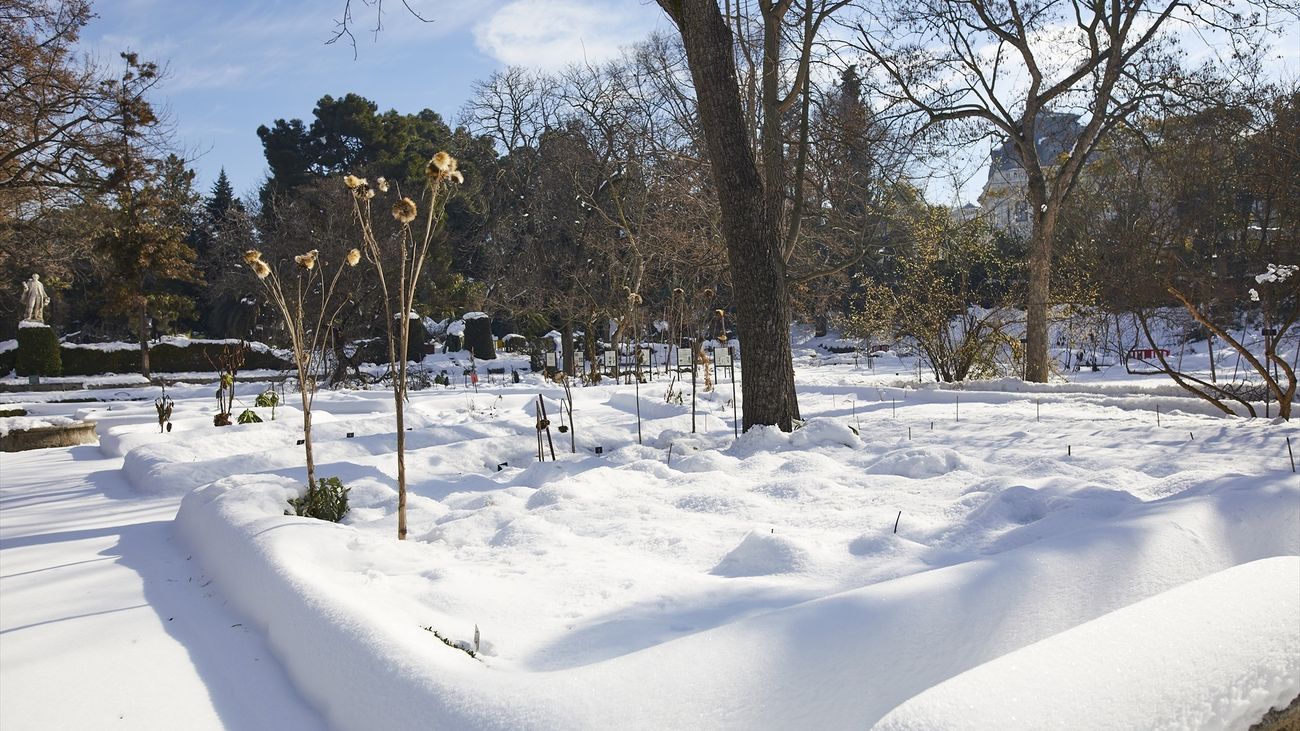 El Real Jardín Botánico de Madrid tras el paso de la borrasca Filomena