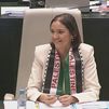 Palestina llega al pleno del Ayuntamiento de Madrid