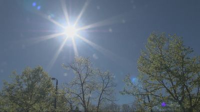 Jueves de calor en Madrid con temperaturas que llegarán a los 35 grados