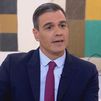 Pedro Sánchez y su cambio de opinión sobre la amnistía  para lograr su investidura