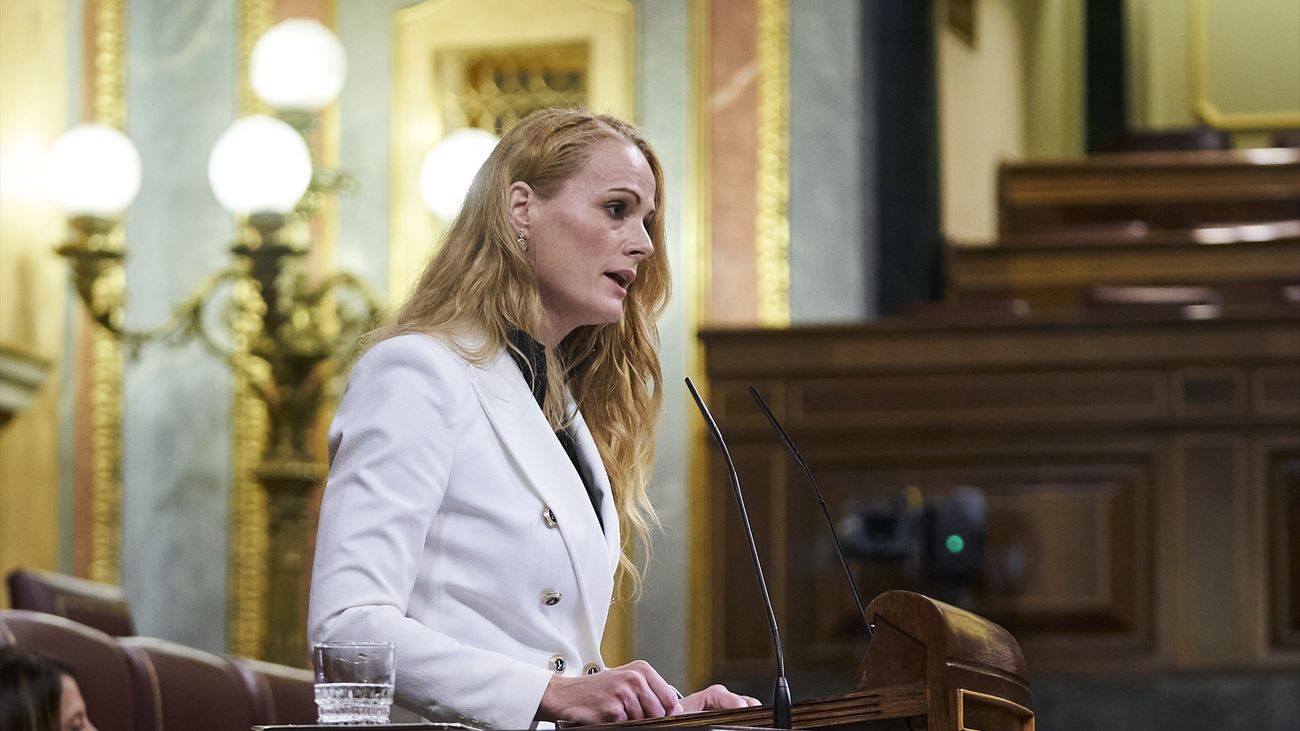 La diputada socialista del Congreso, Zaida Cantera, durante una sesión plenaria