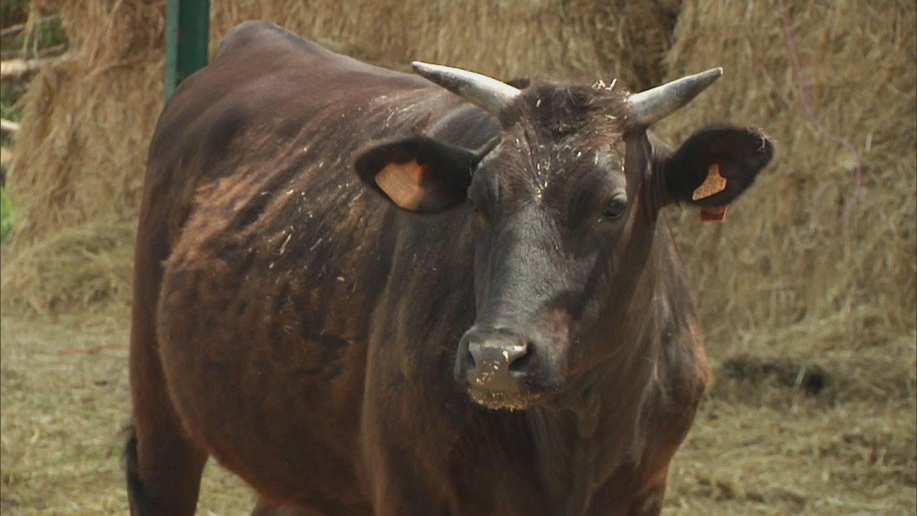 Madrid mejora tu vida 02.06.2024